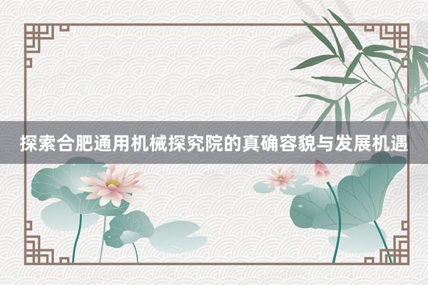 探索合肥通用机械探究院的真确容貌与发展机遇