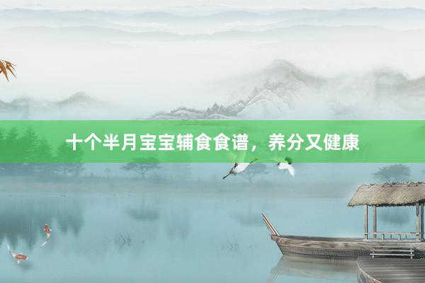 十个半月宝宝辅食食谱，养分又健康